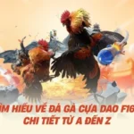 Tìm Hiểu Về Đá Gà Cựa Dao F168 Chi Tiết Từ A Đến Z