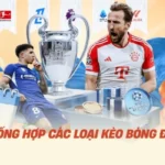 Tổng Hợp Các Loại Kèo Bóng Đá F168 Chi Tiết